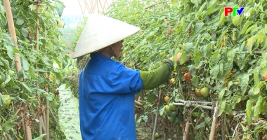 Phú Thọ ngày mới 6-11-2025