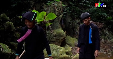 Phú Thọ ngày mới 7-11-2025