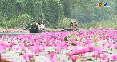 Phú Thọ ngày mới 9-11-2025