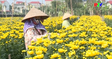 Phú Thọ ngày mới ngày 03-02-2026