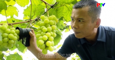 Phú Thọ ngày mới ngày 05-07-2026