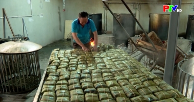 Phú Thọ ngày mới ngày 09-02-2026