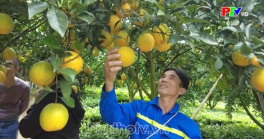 Phú Thọ ngày mới ngày 10-11-2023