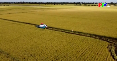 Phú Thọ ngày mới ngày 11-12-2025