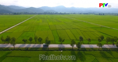 Phú Thọ ngày mới ngày 12-7-2024