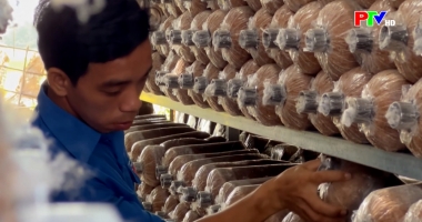 Phú Thọ ngày mới ngày 12-4-2026