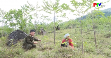 Phú Thọ ngày mới ngày 16-2-2023