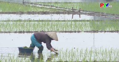 Phú Thọ ngày mới ngày 17-2-2022