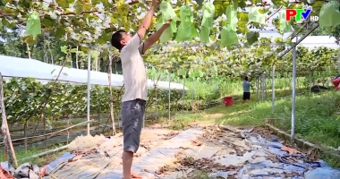 Phú Thọ ngày mới ngày 18-12-2025