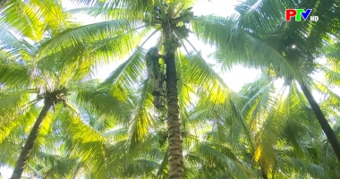 Phú Thọ ngày mới ngày 18-3-2026