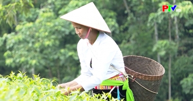Phú Thọ ngày mới ngày 18-9-2025