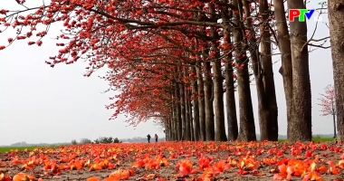 Phú Thọ ngày mới ngày 2-4-2026