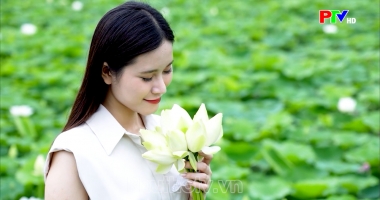 Phú Thọ ngày mới ngày 20-06-2026