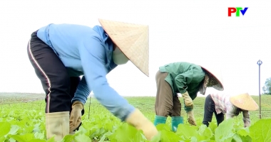 Phú Thọ ngày mới ngày 20-12-2025