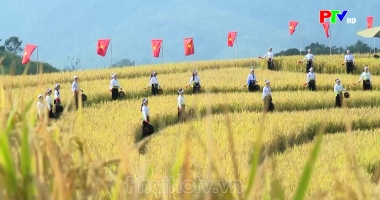Phú Thọ ngày mới ngày 21-10-2026