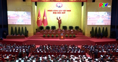 Phú Thọ ngày mới ngày 23-01-2026