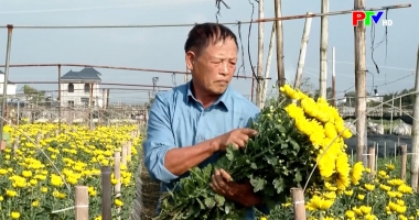 Phú Thọ ngày mới ngày 26-01-2026