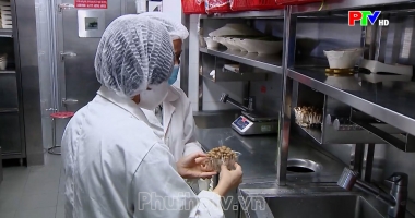 Phú Thọ ngày mới ngày 26-11-2024