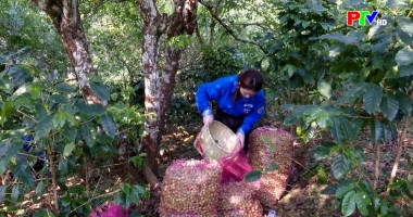Phú Thọ ngày mới ngày 27-3-2026