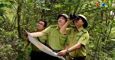 Phú Thọ ngày mới ngày 29-05-2026