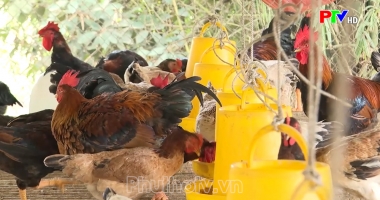 Phú Thọ ngày mới ngày 3-7-2024