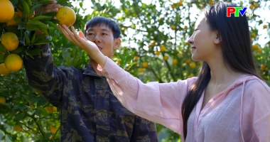 Phú Thọ ngày mới ngày 8-12-2025