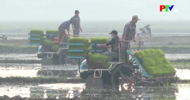 Phú Thọ ngày mới ngày 8-4-2026