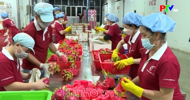 Phú Thọ ngày mới ngày 9-2-2025