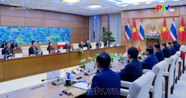 VIFTA – Mở đường cho nông sản Phú Thọ vươn xa
