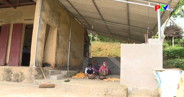 PTV Kết nối yêu thương ngày 1-6-2024