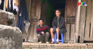 PTV kết nối yêu thương ngày 28-12-2024