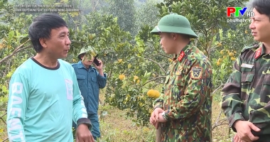 Quân đội chung sức xây dựng nông thôn mới