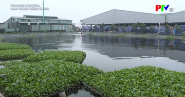 Quan trắc môi trường tự động