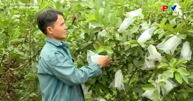 Quyết liệt hành động