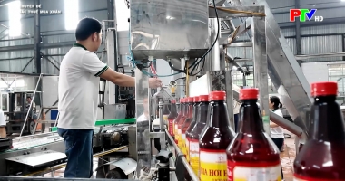 Sắc thuế mùa xuân