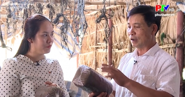 Sản phẩm từ làng - Nấm Đồng Cam