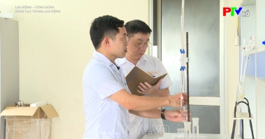 Sáng tạo trong lao động