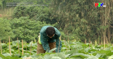 Sinh kế bền vững - Điểm tựa để người dân vươn lên