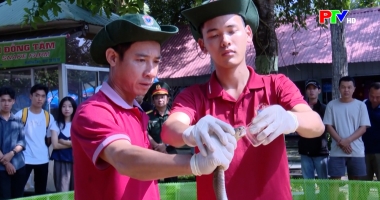 Sống khỏe mỗi ngày - Sơ cứu khi rắn cắn