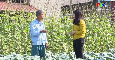 Sản phẩm từ làng: Làng nghề rau an toàn Văn Phú