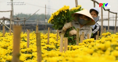 Sức bật từ Nghị quyết 41