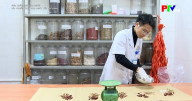 Sức khỏe cho mọi người - Bài thuốc xanh cho ngày Tết an lành