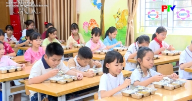 Sức khỏe cho mọi người - Dinh dưỡng, an toàn bữa ăn bán trú