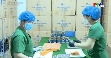 Sức trẻ vươn xa