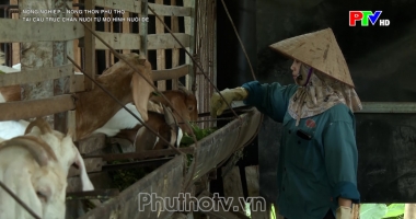 Tái cấu trúc chăn nuôi từ mô hình nuôi dê