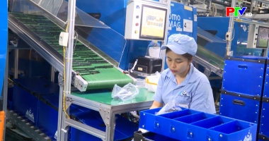 Tài chính doanh nghiệp ngày 13-10-2025