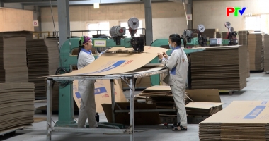 Tài chính doanh nghiệp ngày 15-9-2025