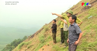 Tài nguyên và môi trường - Giữ rừng: Giữ sinh kế