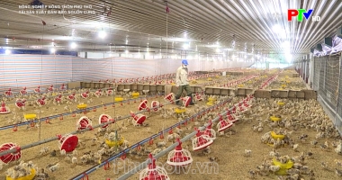Tái sản xuất đảm bảo nguồn cung