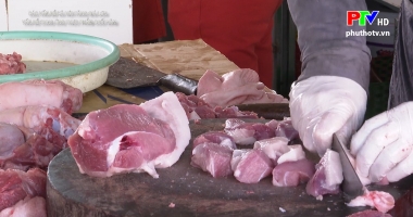 Tăng giá lợn và vấn đề cung ứng